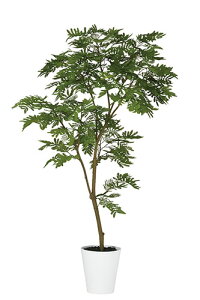 yԕiszGo[tbV FST / H150TCY / lHO[ / G}H