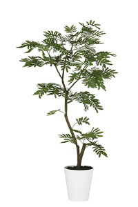 yԕiszGo[tbV FST / H120TCY / lHO[