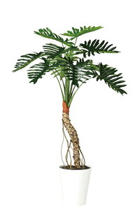 yԕiszZ[ / H150TCY / lHO[