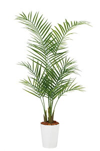 yԕiszAJV PE / H130TCY / lHO[ / G}H