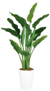 yԕiszXg`AEI[KX^ MIX / H170TCY / lHO[