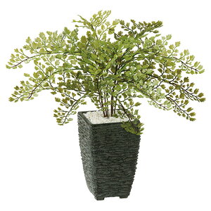 yԕiszAWA^ / H30TCY / lHO[