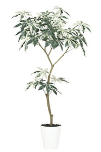 yԕiszpL ~L[EFC FST / H150TCY / lHO[ / G}H