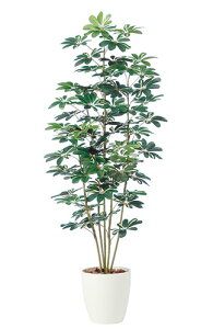 yԕiszVFt / H180TCY / lHO[ / G}H