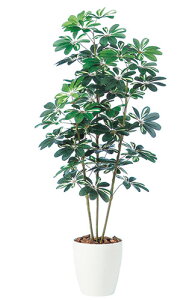 yԕiszVFt / H150TCY / lHO[ / G}H