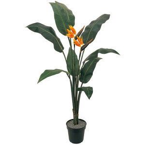 yԕiszo[hIup_CX / H160TCY / lHO[ / Wt/ iG}ECTG}Hj