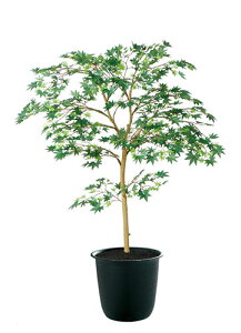 yԕisz}~W GREEN / H100TCY / lHO[ / G}H