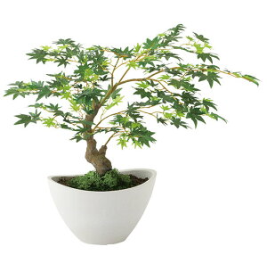 yԕisz}~W {E GREEN / lHO[ / G}H