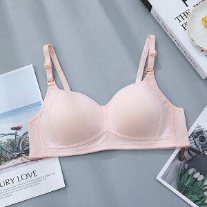 u WjA LbY pbgt w  ̎q q WjA qǂ q w w X|[cu ̎q n  