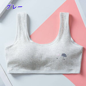 u WjA LbY pbgt w  ̎q q WjA qǂ q w w X|[cu ̎q n  