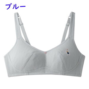 u WjA LbY pbgt w  ̎q q WjA qǂ q w w X|[cu ̎q n  