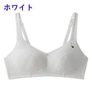 u WjA LbY pbgt w  ̎q q WjA qǂ q w w X|[cu ̎q n  