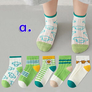 q C 5Zbg \bNX LbY j̎q ̎q xr[  ۈ牀 ct w q  킢 q Mtg v[g