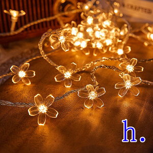 C~l[V Cg LED     1.5m 3m NX}X c[ ledCg  d