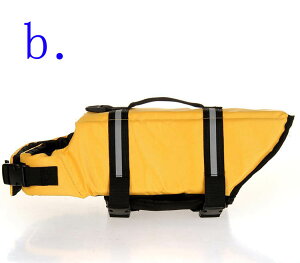  CtWPbg ~  ^ ^ v S S ybgp p  C V