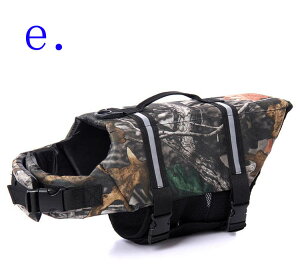  CtWPbg ~  ^ ^ v S S ybgp p  C V