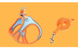  n[lX n[lX[hZbg pn[lX  p ^ ^ EȂ  L Lpn[lX Ln[lX