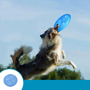 tXr[  _炩 Zp tCO fBXN p \tg   ߋ ybg  XgX ^s