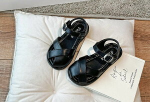 T_ LbY ̎q Xgbv qC C pvX  q wZ ct ۈ牀 ʉ ʊw o \  14-21cm