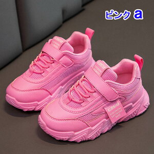 qC Xj[J[ LbY WjA ̎q V[Y C WjA wZ ct ۈ牀 ʉ ʊw o ʊw wZ q 킢  qC