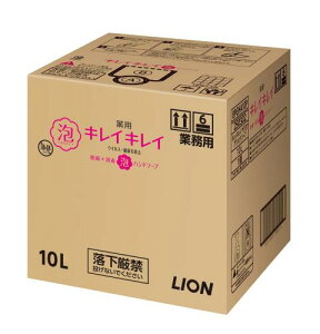 Ɩp eʃLCLC p Anh\[v 10L VgXt[eB̍(򕔊Oi) lߑւ