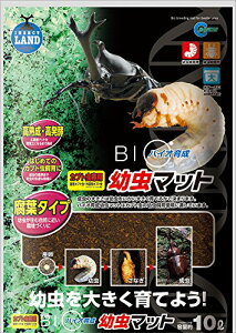 }J oCI琬c}bg 10L M-705