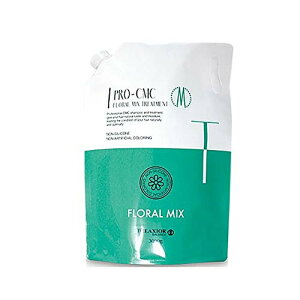 cw fNVI v CMC t[~bNX g[gg 3000g tB