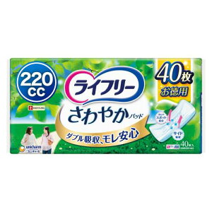 Ct[ Apbh 220cc ₩pbh p ɑ1ňSp 40 34cm (hbƃ)