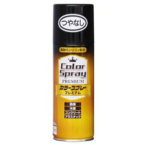 jby yL Xv[ J[Xv[v~A 400ml ȂubN  ₠ O { 4976124266942