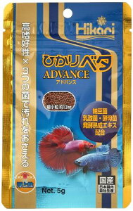 �q�J�� (Hikari) �x�^ �A�h�o���X ���㐫 �ɏ��� ���Y 5g