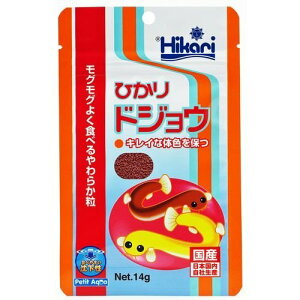 �q�J�� (Hikari) �Ђ��� �h�W���E ������ ���Y 14g