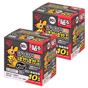 ACXI[} JC \ ~j ۂۂƑ ubN 30 (x 2)