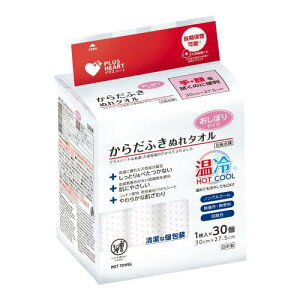 vXn[g 炾ӂʂ^I ڂTCY 30(1×30) hД~ { 74941