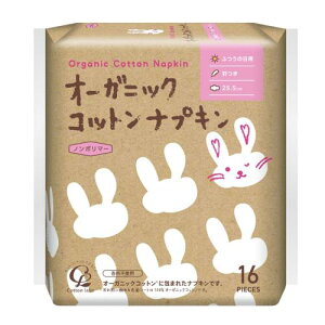 I[KjbN Rbg ivL 25.5cm H 16  o