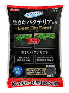 �W�F�b�N�X �x�X�g�o�C�I�T���h 6L