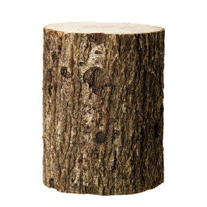 charm(`[) RiY   1{  NK^p