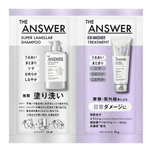 THE ANSWER W AT[ X[p[Vv[EXCXgg[gg FOR DAILY DAMAGE(邨 ܂Ƃ܂) s[12ml12g 1