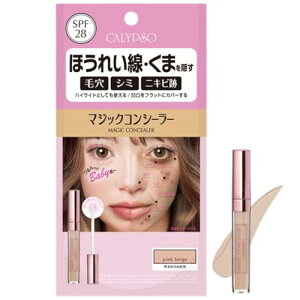 Jv\ }WbNRV[[ SPF28 sNx[W E