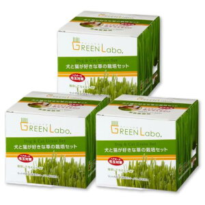 ܂Ƃߔ3Zbg O[{ ƔLDȑ͔̍|Zbg L  L  ыʃPA (3Zbg)