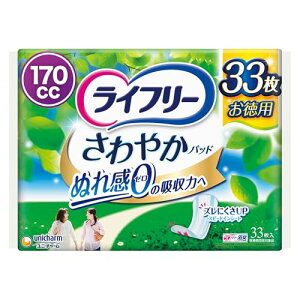 Ct[ Apbh 170cc ₩pbh p ԁEłSp 33 29cm (Wbƃ)