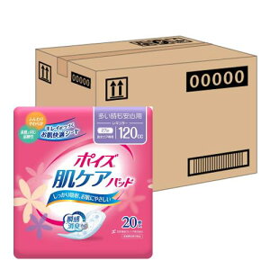 |CY P[X̔ PApbh Sp(M[)120cc 20 ×6pbN (̌yAp)