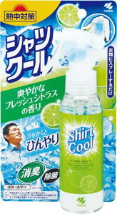 M΍ VcN[ u₩ȃtbVVgX̍ ߗނɃXv[邾 ƂЂ葱 ⊴Xv[ 100ml ѐ