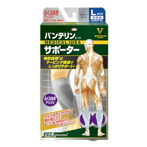 oeT|[^[ ӂ͂AVXg 傫/LTCY(ӂ͂ 37~42cm) Vo[O[ 2