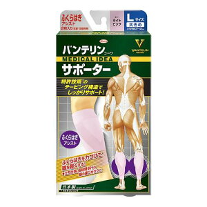 oeT|[^[ ӂ͂AVXg 傫/LTCY(ӂ͂ 37~42cm) CgsN 2