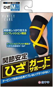 \ ЂK[h T|[^[ M 1 Ep bV\