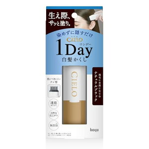VG f[ 1Day  i`ubN oO 1߂  z[[
