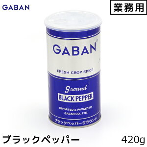 GABAN Mo Ɩp ubNybp[ OEh 420g Ӟ RVE 傤 j Ε v[gȂǂ̃MtgɃIXX