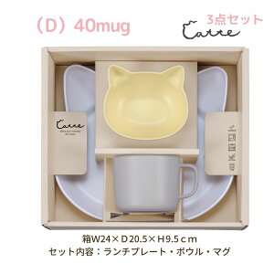 catte gift box Lbg MtgZbg `v[g {E }O M R H@Ή WΉ {  y oYj av[g ߋ 킢  lC Vv k 