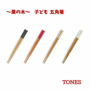 yH@ΉzTONES q ܊p I̖ VR R Ydグ  H i` Vv Jt 킢  S S  yA  k Ƒ H 蕨 v[