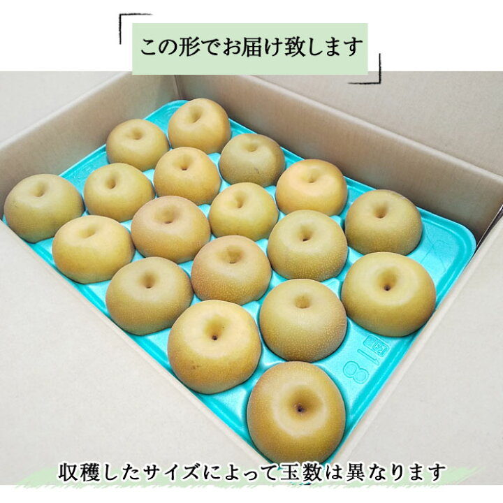 楽天市場】【贈答・家庭用】豊水 5kg 正規梨 石川県産 梨【送料無料 